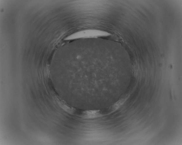 X0000070340093200606231543