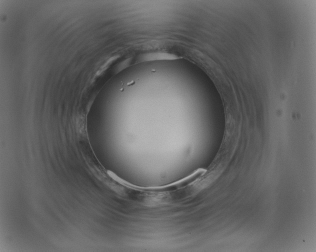 X0000070340096200606231543