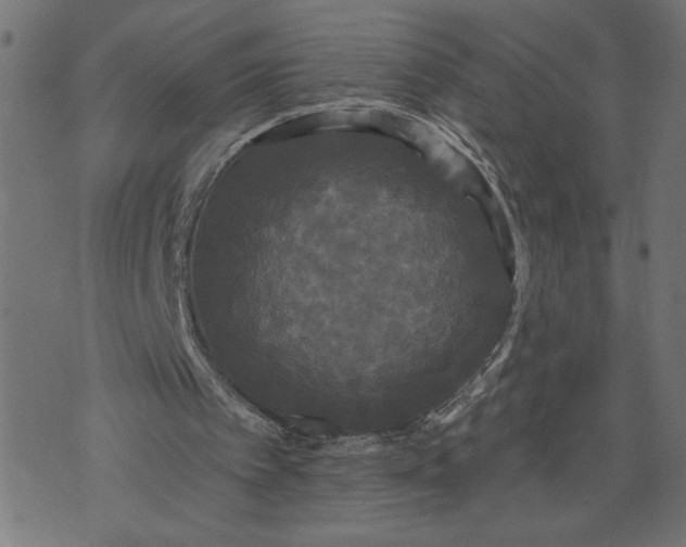 X0000070340097200606231542