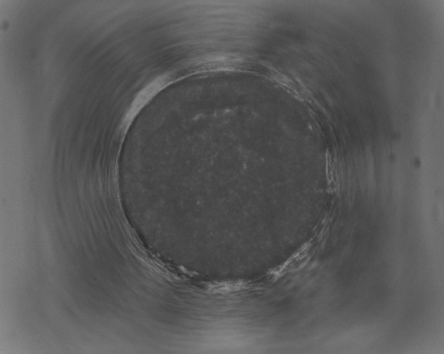 X0000070340099200606231542