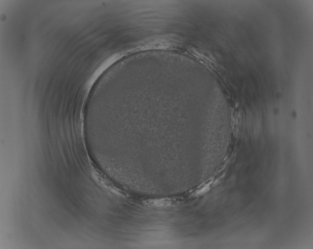 X0000070340100200606231542