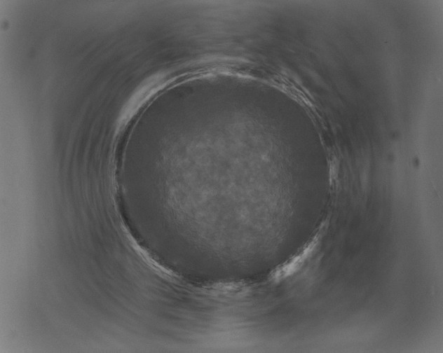 X0000070340101200606231542