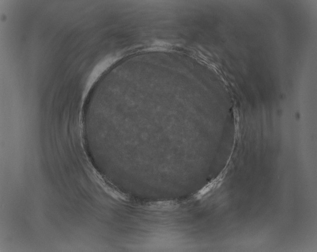 X0000070340102200606231542