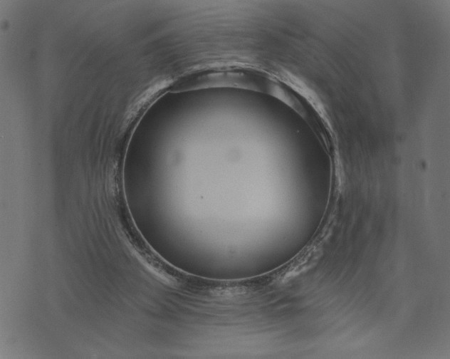 X0000070340105200606231542