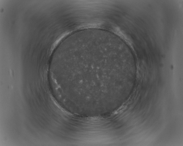 X0000070340107200606231542