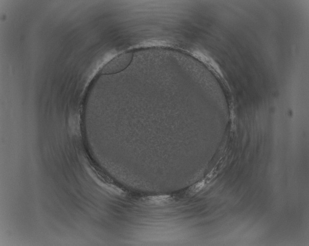 X0000070340108200606231542