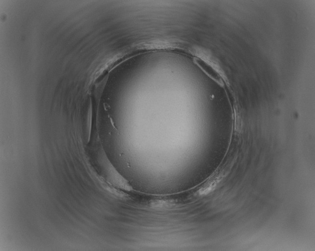 X0000070340109200606231542