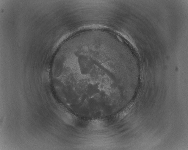 X0000070340111200606231542