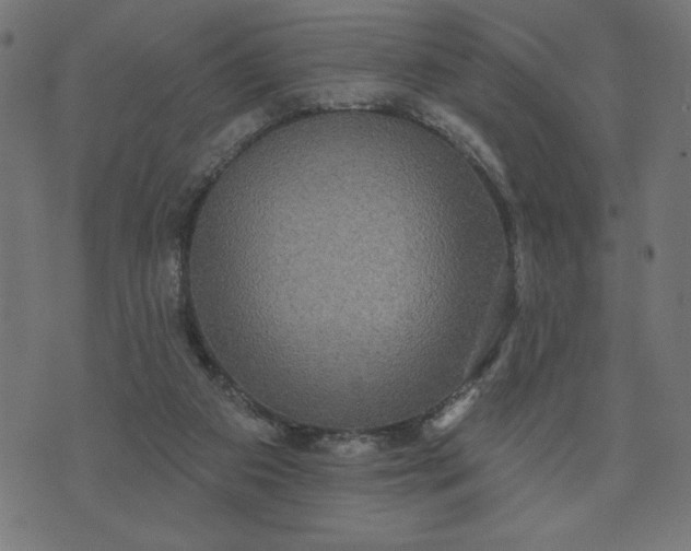 X0000070340113200606231542