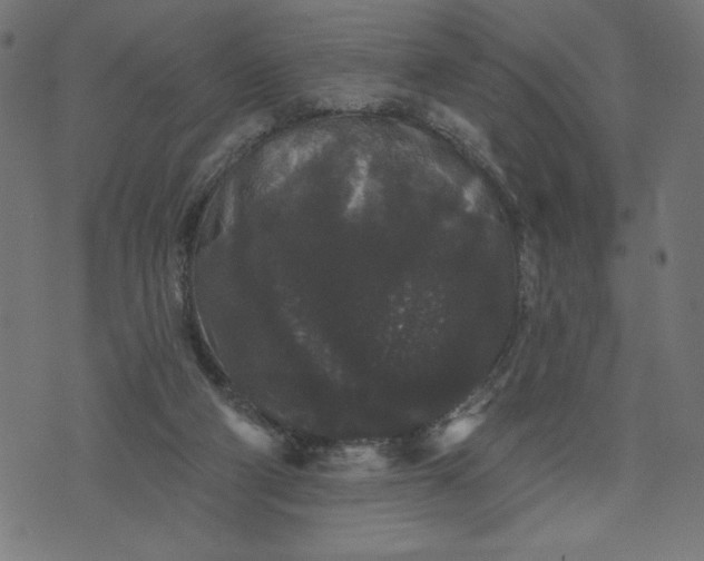 X0000070340114200606231542