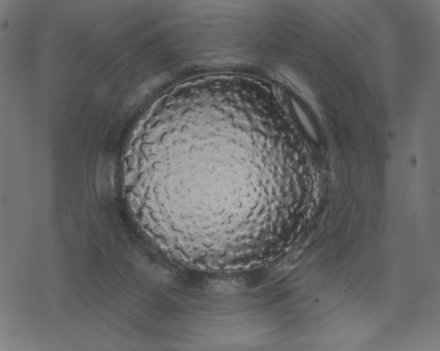 X0000070340115200606231542