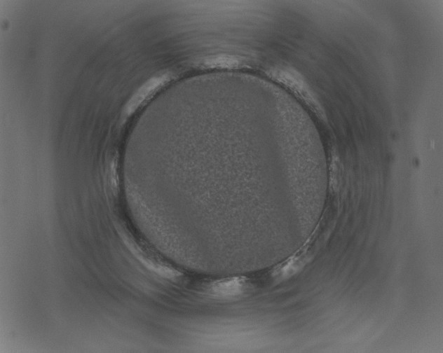 X0000070340116200606231542