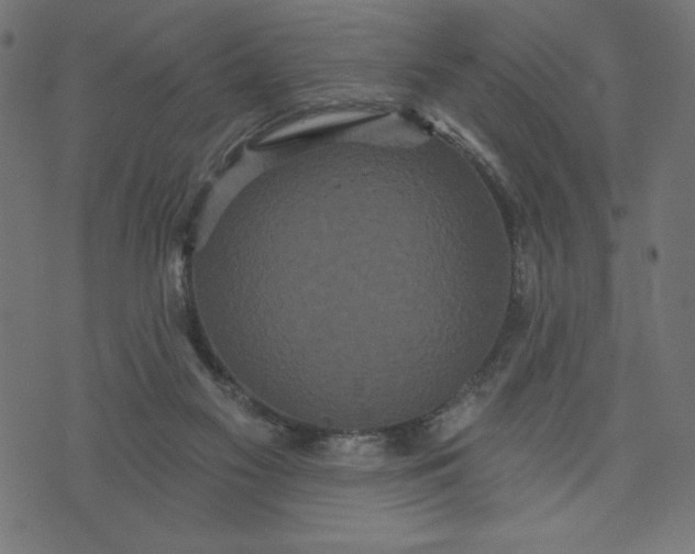 X0000070340117200606231542