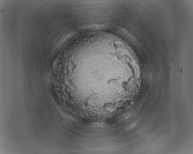 X0000070340119200606231542