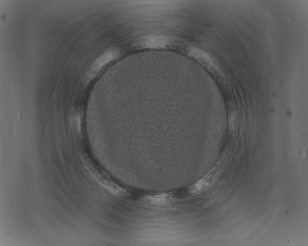 X0000070340120200606231542