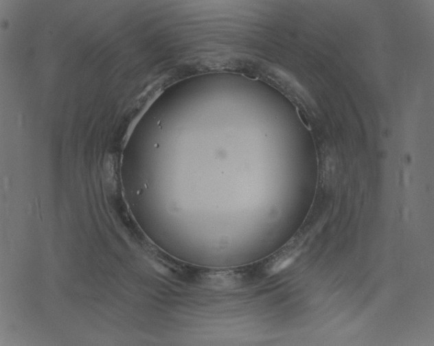 X0000070340121200606231542