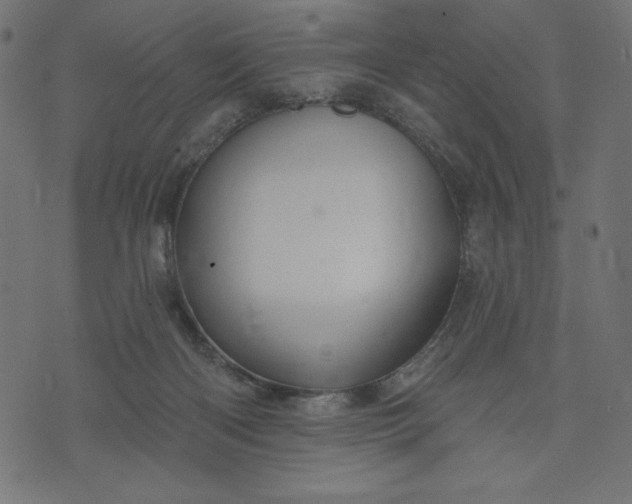 X0000070340122200606231542