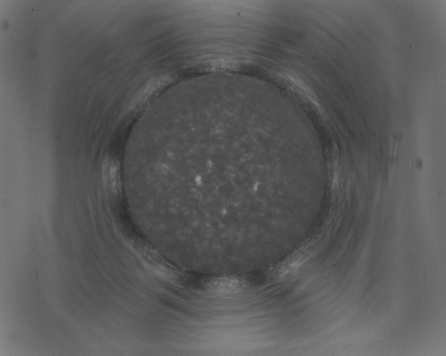 X0000070340123200606231542