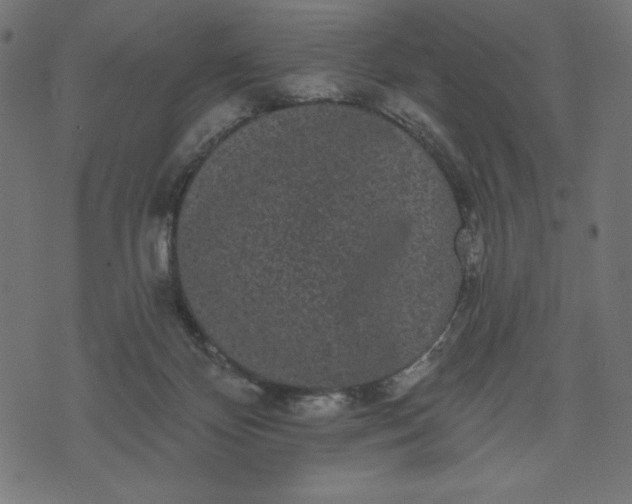 X0000070340124200606231542