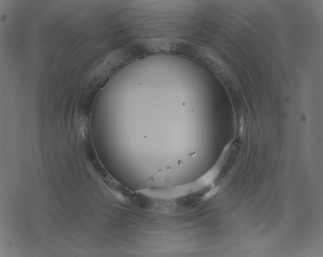 X0000070340125200606231542