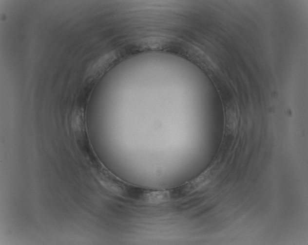 X0000070340126200606231542