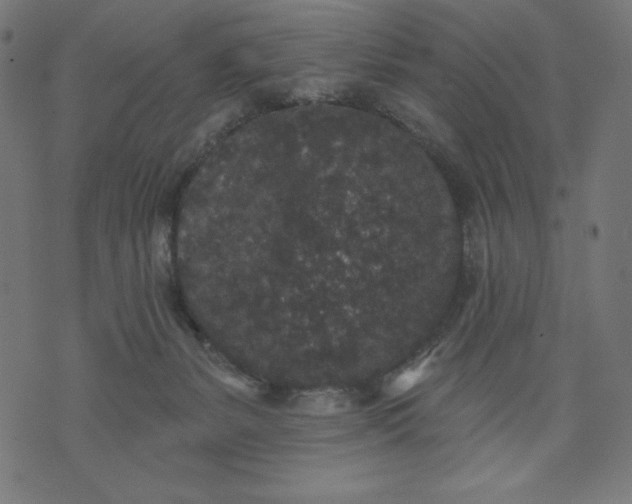 X0000070340127200606231542