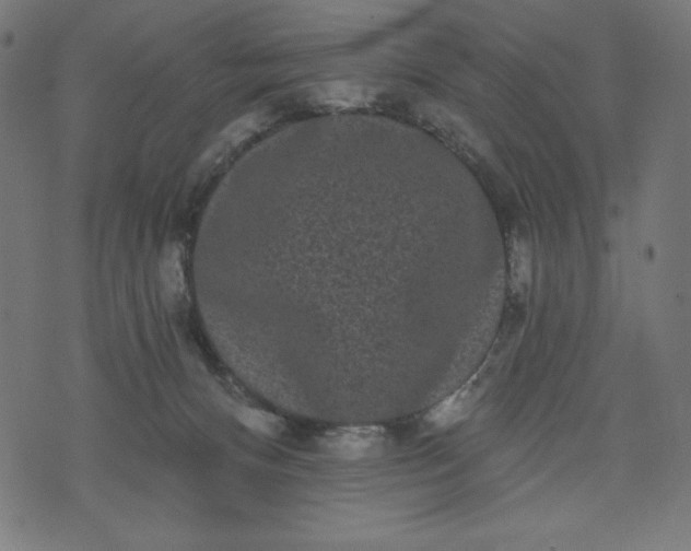 X0000070340128200606231542