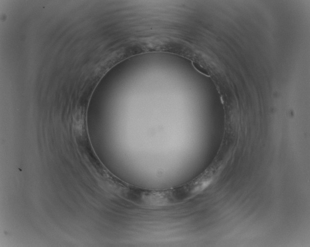 X0000070340129200606231542