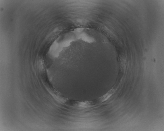 X0000070340130200606231542