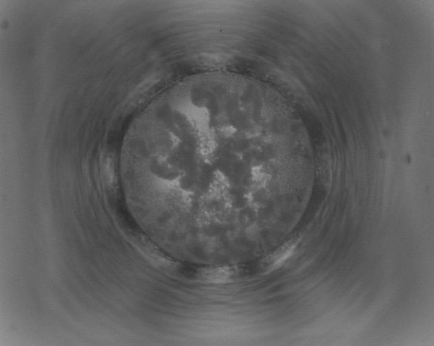 X0000070340131200606231542