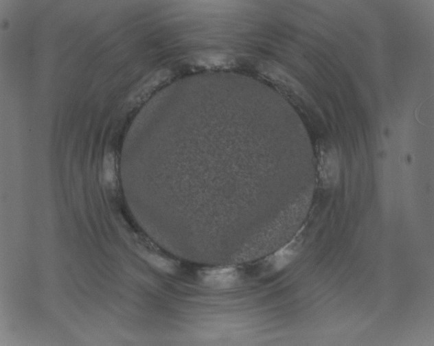 X0000070340132200606231542