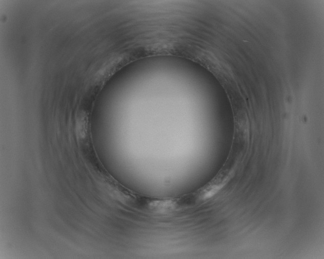 X0000070340133200606231542