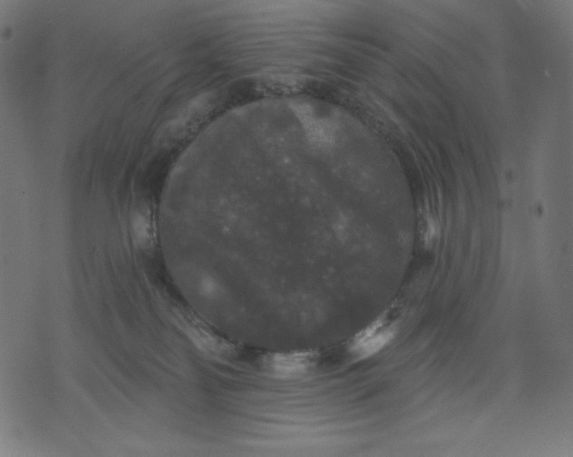 X0000070340134200606231542