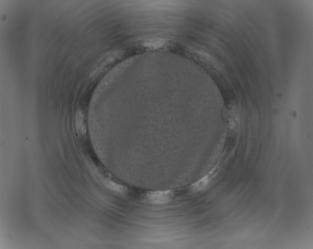 X0000070340136200606231542