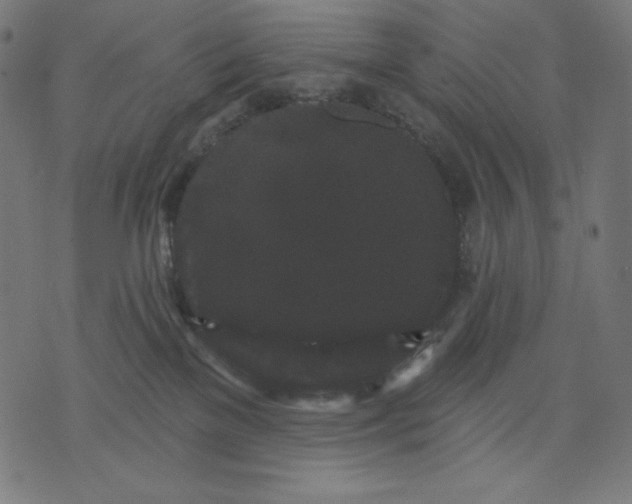 X0000070340137200606231542