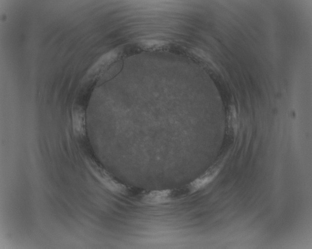 X0000070340138200606231542