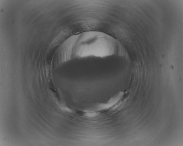 X0000070340139200606231541