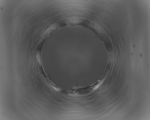 X0000070340143200606231541