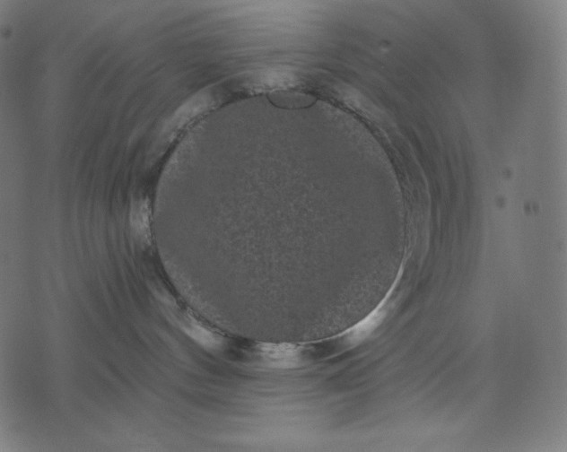 X0000070340144200606231541