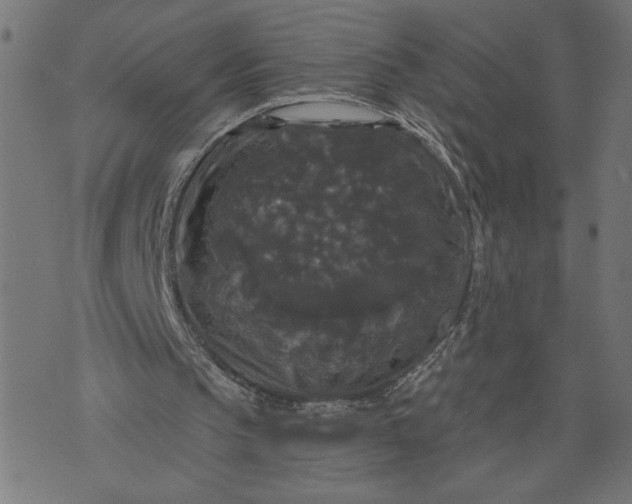 X0000070340145200606231541