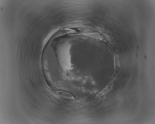 X0000070340147200606231541