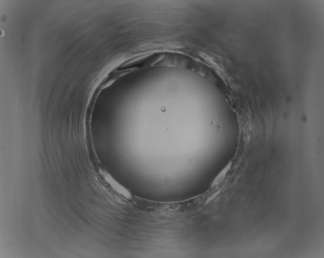 X0000070340148200606231541