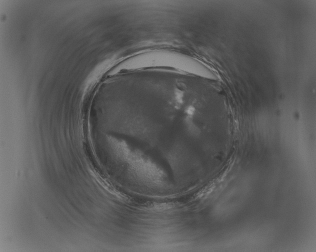 X0000070340149200606231541