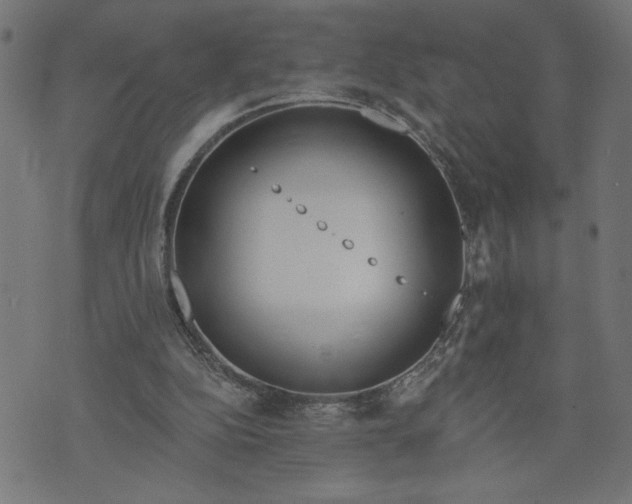 X0000070340152200606231541