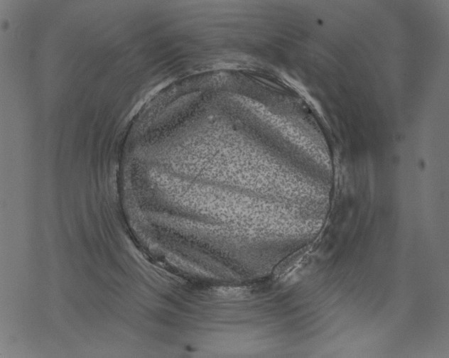 X0000070340154200606231541