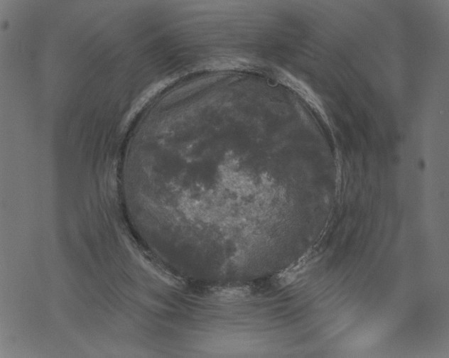 X0000070340155200606231541