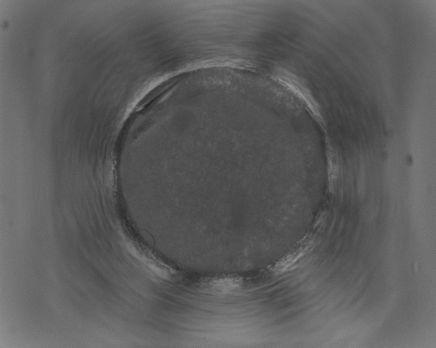 X0000070340156200606231541