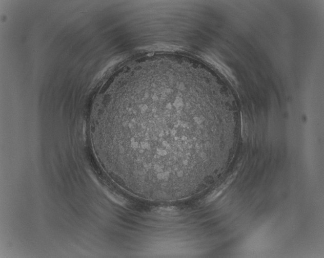 X0000070340157200606231541