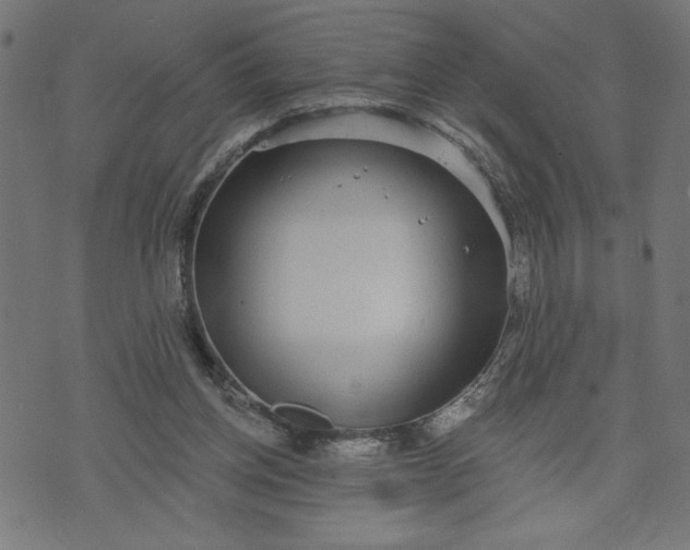 X0000070340158200606231541