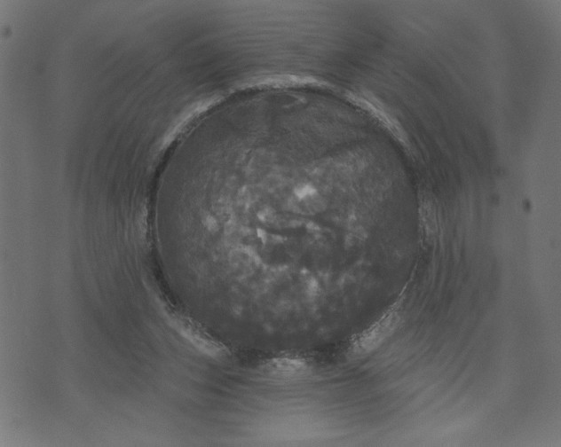 X0000070340159200606231541